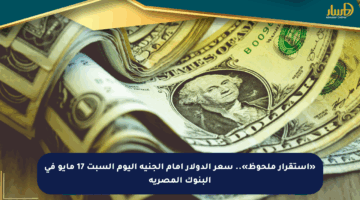 «استقرار ملحوظ».. سعر الدولار أمام الجنيه اليوم السبت 17 مايو في البنوك المصرية